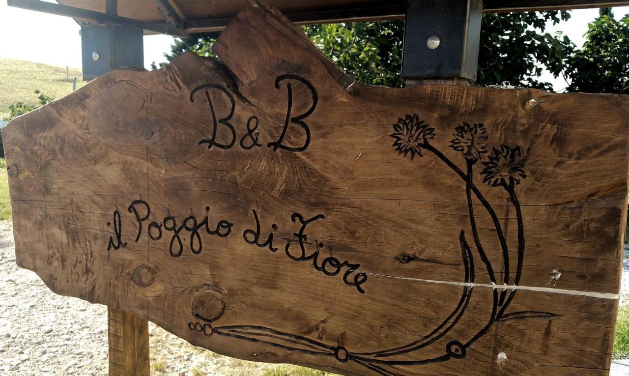 B&B Il Poggio di Fiore Castellina Marittima Esterno foto