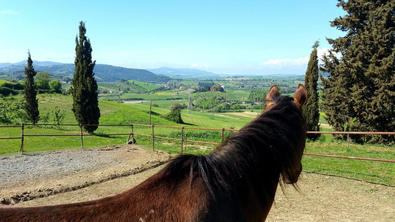 B&B Il Poggio di Fiore Castellina Marittima Esterno foto