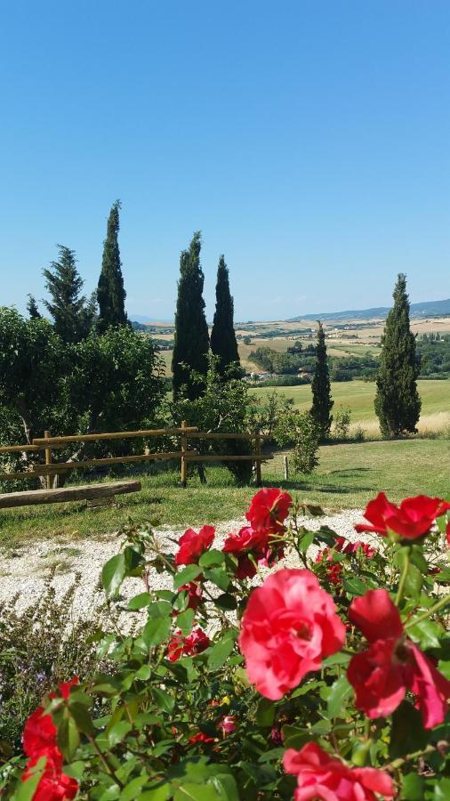 B&B Il Poggio di Fiore Castellina Marittima Esterno foto