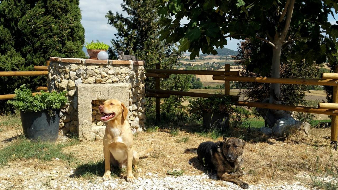 B&B Il Poggio di Fiore Castellina Marittima Esterno foto