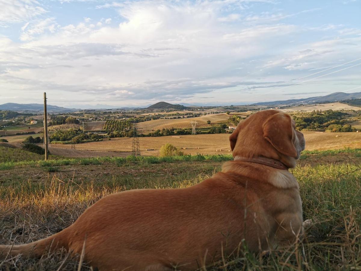 B&B Il Poggio di Fiore Castellina Marittima Esterno foto