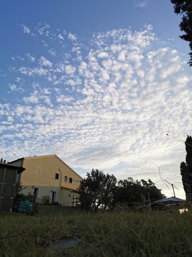 B&B Il Poggio di Fiore Castellina Marittima Esterno foto